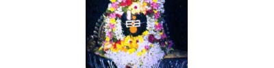 மூலனூர்